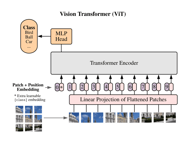 Vision Transformer Graph